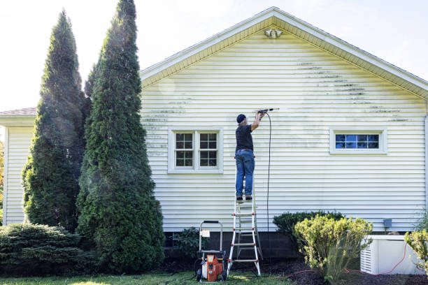 Professional Pressure Washing in Remerton, GA