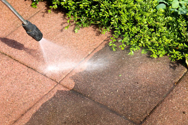 Best Exterior Home Cleaning  in Remerton, GA